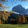 Фото 1 - Chalet Alpina