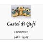 Фото 4 - Castel Di Gufi