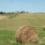 Фото 4 - Pelagaccio Trilo Volterra