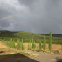 Фото 6 - Farm Fattoria Le Planaie