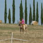 Фото 8 - Farm Fattoria Le Planaie