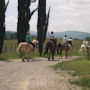 Фото 9 - Farm Fattoria Le Planaie