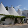 Фото 2 - Masseria Labbruto