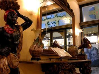 Фото 9 - Grand Hotel Puccini