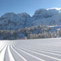 Фото 5 - Chalet Fiocco Di Neve