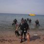 Фото 7 - International Arab Dive Center
