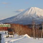 Фото 3 - Niseko Freedom Inn