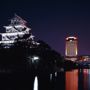 Фото 1 - Rihga Royal Hotel Hiroshima