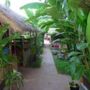 Фото 11 - Babel Siem Reap Guesthouse