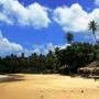 Фото 4 - Palm Paradise Cabanas