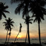 Фото 5 - Palm Paradise Cabanas