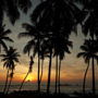 Фото 7 - Palm Paradise Cabanas