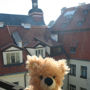 Фото 4 - Teddy Bear Hostel Riga