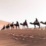 Фото 6 - Camel Safari Camp