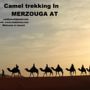 Фото 1 - Camel Trekking Bivouac