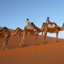 Фото 11 - Camel Trekking Bivouac