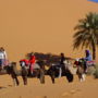 Фото 12 - Camel Trekking Bivouac