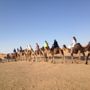 Фото 10 - Camels House