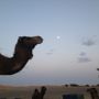 Фото 12 - Camels House