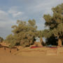 Фото 1 - Bivouac Rêve Sahara-Dar Azawad