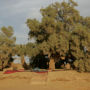 Фото 3 - Bivouac Rêve Sahara-Dar Azawad