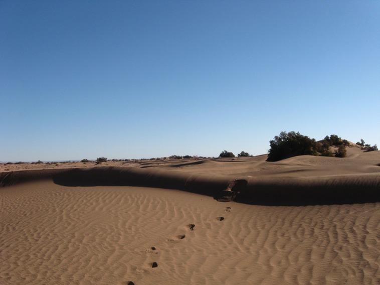 Фото 10 - Caravane Renard Du Desert