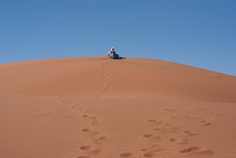 Фото 6 - Caravane Renard Du Desert