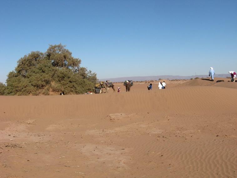 Фото 7 - Caravane Renard Du Desert