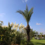 Фото 10 - Riad Al Mendili Kasbah Private Resort & Spa