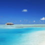 Фото 12 - Medhufushi Island Resort