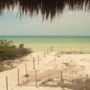 Фото 10 - Casa Blatha Holbox