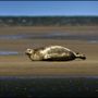 Фото 3 - Het Huis van de Wadden