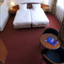Фото 2 - Best Western Hotel de Veluwe