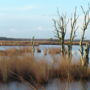 Фото 8 - Oud Bergveen