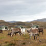 Фото 1 - Nordkapp Camping