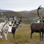 Фото 6 - Nordkapp Camping