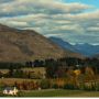 Фото 3 - Queenstown Country Lodge