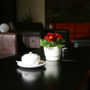 Фото 8 - Hotel Elbrus Spa & Wellness