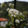 Фото 4 - Quinta Das Heredias