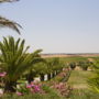 Фото 5 - Herdade dos Grous