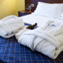 Фото 7 - Hotel Bavaria Blu