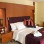 Фото 4 - Radisson Blu Royal Suite Hotel, Jeddah