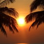 Фото 12 - Sibaja Palms Sunset Beach Luxury Villa