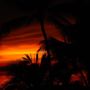 Фото 13 - Sibaja Palms Sunset Beach Luxury Villa