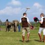 Фото 5 - Anantara Golden Triangle Elephant Camp & Resort