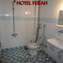 Фото 3 - Hotel Ferah