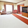 Фото 12 - Holiday Inn Express Hotel & Suites Cedar City