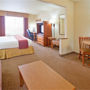 Фото 9 - Holiday Inn Express Hotel & Suites Cedar City