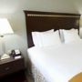 Фото 7 - Holiday Inn Express Hotel & Suites Smyrna-Nashville Area