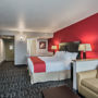 Фото 12 - Holiday Inn Hotel & Suites Anaheim - Fullerton